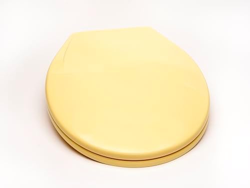 2Q1R6-50 Builder Grade Slow Close Plastic Toilet Seat by BathDecor