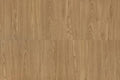 Vinyl Flooring - 12×12 inch Floor Tiles, 20 Packs Stick on Floor Tiles by FlorExp