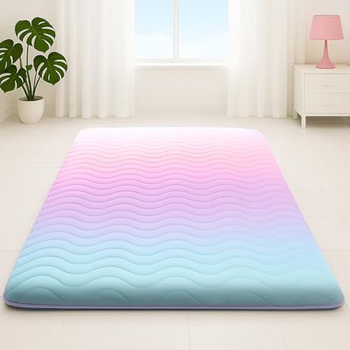 SCHNAUZER HOME Japanese Futon Floor Mattress Queen 3.5" Thick Rainbow by SchnauzerHome