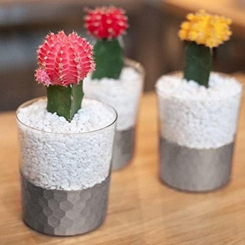 Hosley Set of 2 Argea Loral Glass Vase LED Lantern Candle Holder 4.3 Inch High - Image 7