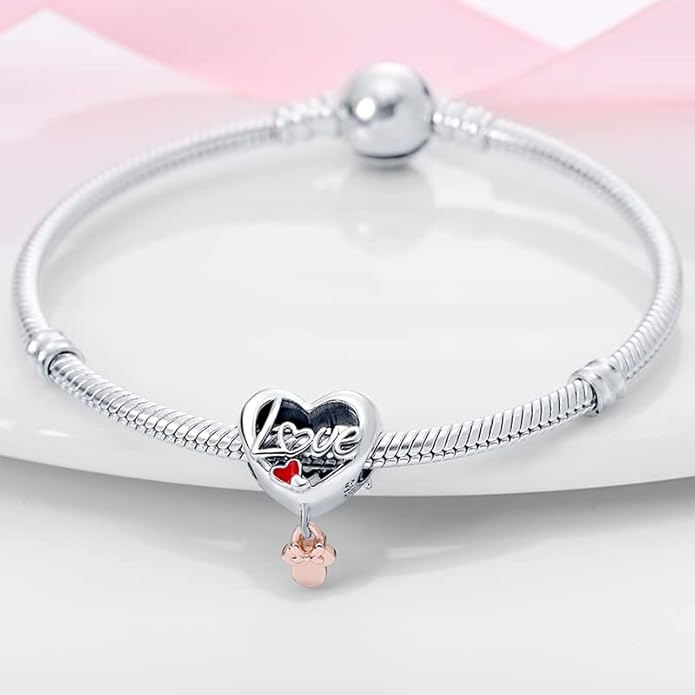 LIGHTDOG 925 Sterling Silver Charm fits Pandora Charm Bracelet Necklaces Pendant Bead Charms Jewelry Gift for Women Family Friends