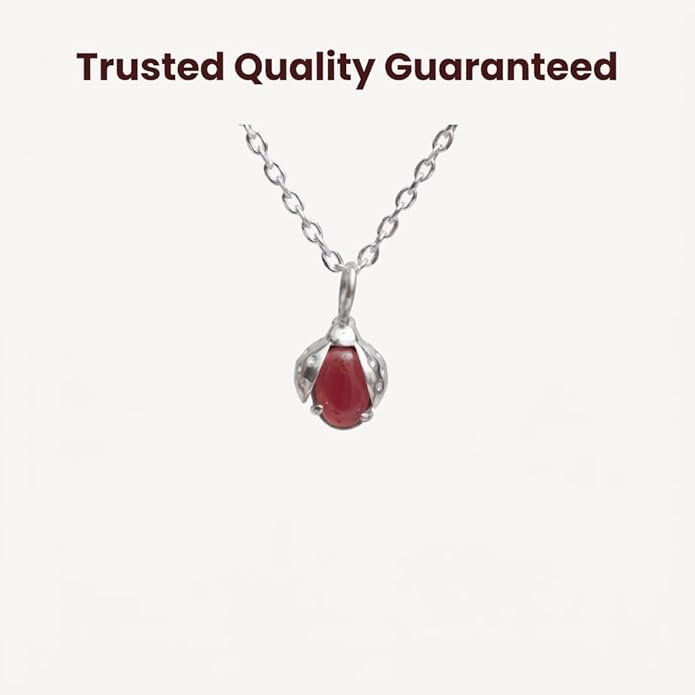 925 Sterling Silver Animal Pendant Necklace Collection for Women | Handmade Natural Gemstone Jewelry | Cat, Bee, Turtle & Bug Designs | Hypoallergenic Silver Necklace Gift for Her
