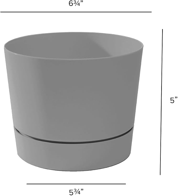 Root & Vessel Majestic Mid-Century Modern Low Profile Cylinder Pot, Matte Gray - Image 5