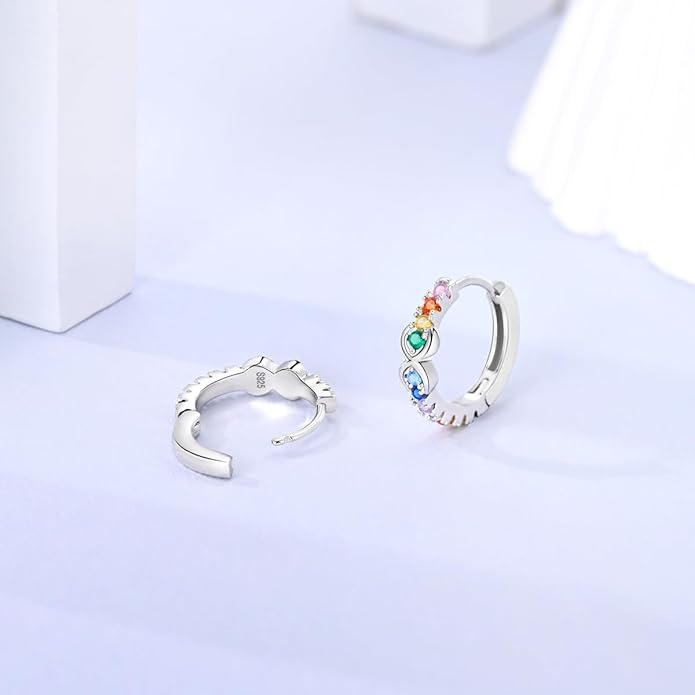 NARMO Earrings for Women 925 Sterling Silver Heart Hoops Small Colorful Rainbow Hoop Earrings Huggie Earrings