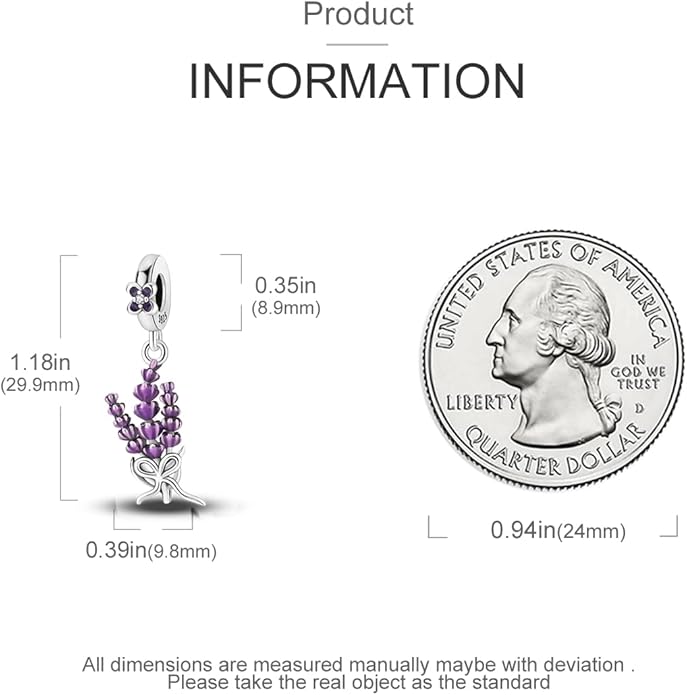 MULA 925 Sterling Silver Charms for Bracelets and Necklaces Airplane Passport Dangle Pendants Beads Butterfly Dragonfly Charms Jewelry Charm for Women