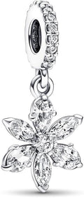 Fashion Charms Compatible for Bracelets,S925 Sterling Silver Charms,For Women Jewelry Present