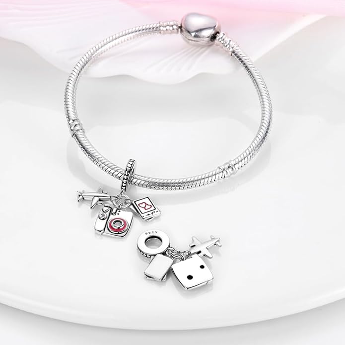 LIGHTDOG 925 Sterling Silver Charm fits Pandora Charm Bracelet Necklaces Pendant Bead Charms Jewelry Gift for Women Family Friends