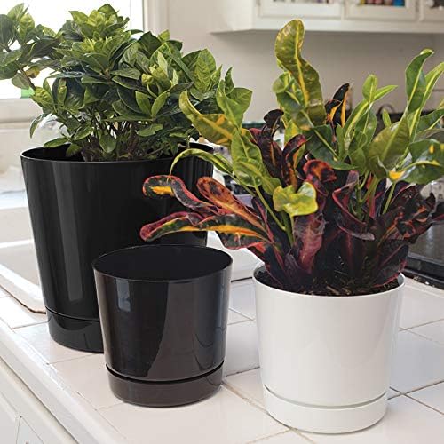 Novelty Majestic Full Depth Round Cylinder Pot, Glossy Black - Image 6