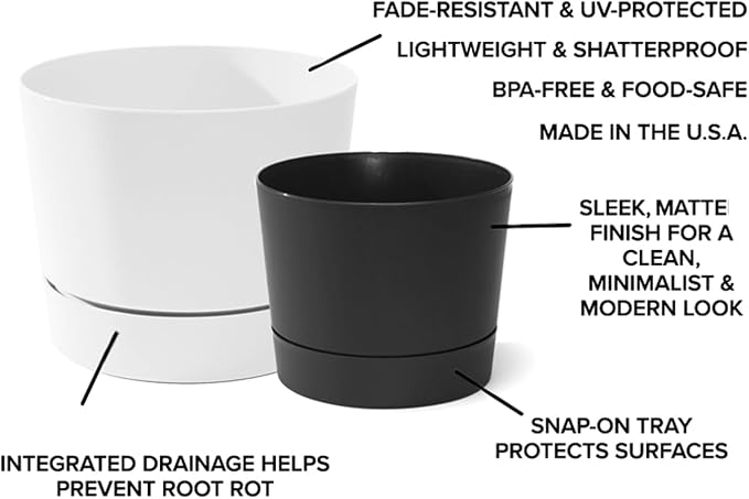 Root & Vessel Majestic Mid-Century Modern Low Profile Cylinder Pot, Matte Black - Image 6