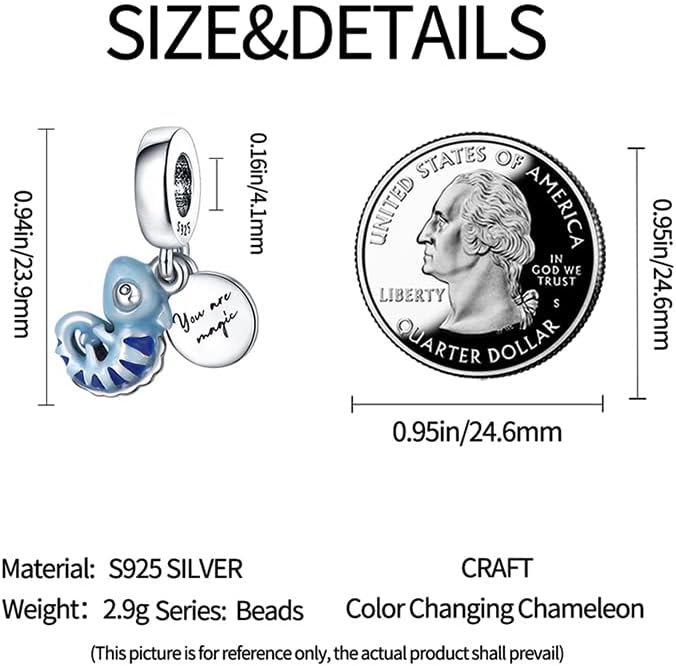 LIGHTDOG 925 Sterling Silver Charm fits Pandora Charm Bracelet Necklaces Pendant Bead Charms Jewelry Gift for Women Family Friends