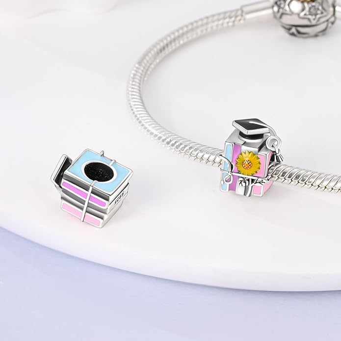 MULA 925 Sterling Silver Charms for Bracelets and Necklaces Airplane Passport Dangle Pendants Beads Butterfly Dragonfly Charms Jewelry Charm for Women