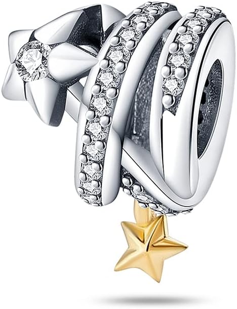 LIGHTDOG 925 Sterling Silver Charm fits Pandora Charm Bracelet Necklaces Pendant Bead Charms Jewelry Gift for Women Family Friends