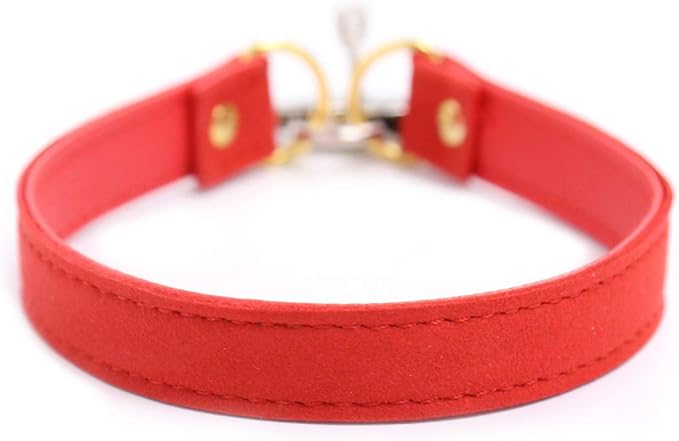 Padlock Choker Collar Necklace with Lock and Key Heart Lock Choker for Women and Men (E, 18)