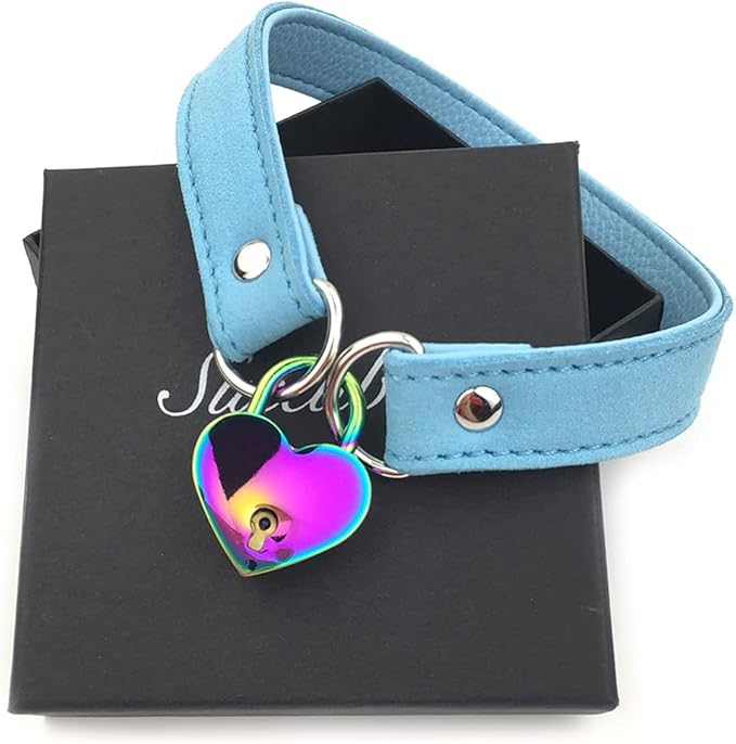 Succuba Padlock Choker Collar Necklace with Lock and Key Heart Lock Choker for Women and Men (G, 16)