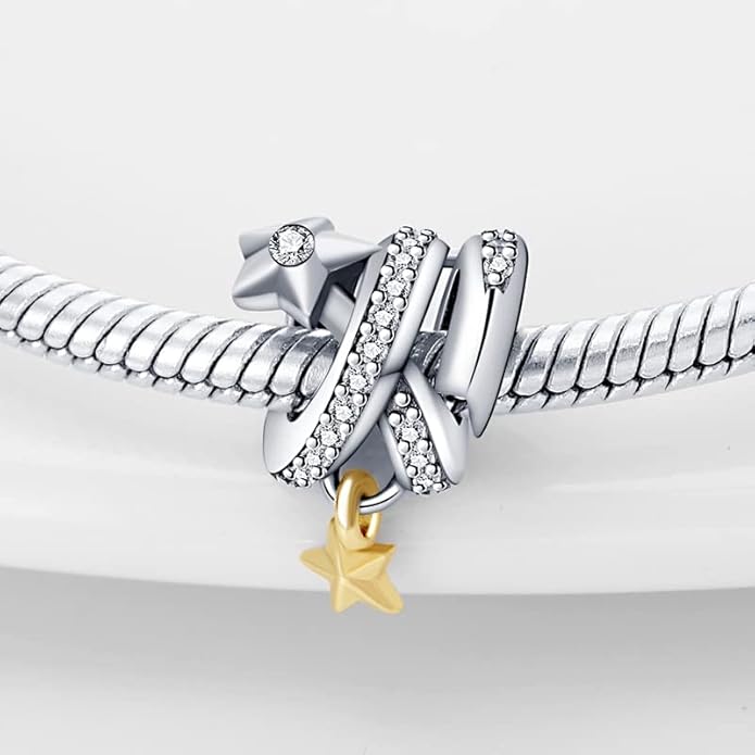 LIGHTDOG 925 Sterling Silver Charm fits Pandora Charm Bracelet Necklaces Pendant Bead Charms Jewelry Gift for Women Family Friends