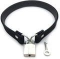 Succuba Padlock Collar Necklace Lolita Collar Cat Kitty Velvet Necklace