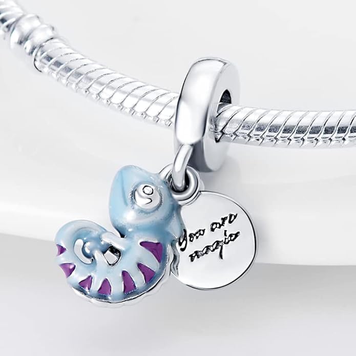 LIGHTDOG 925 Sterling Silver Charm fits Pandora Charm Bracelet Necklaces Pendant Bead Charms Jewelry Gift for Women Family Friends