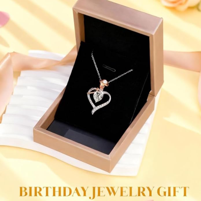 immobird Rose Gold Heart Necklace Birthstone Jewelry Sterling Silver Jewelry Plated White Gold Valentine's Day Gift Women for Wife Mom Necklace for Women