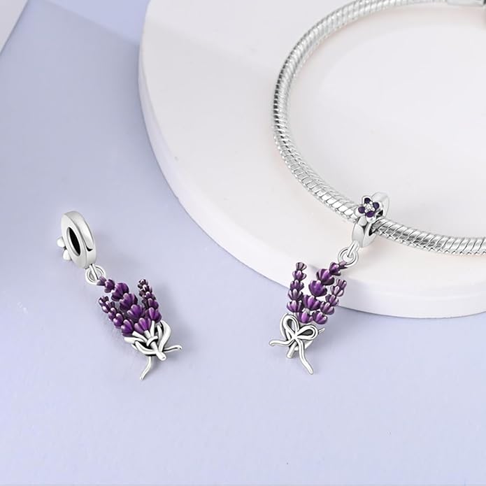 MULA 925 Sterling Silver Charms for Bracelets and Necklaces Airplane Passport Dangle Pendants Beads Butterfly Dragonfly Charms Jewelry Charm for Women
