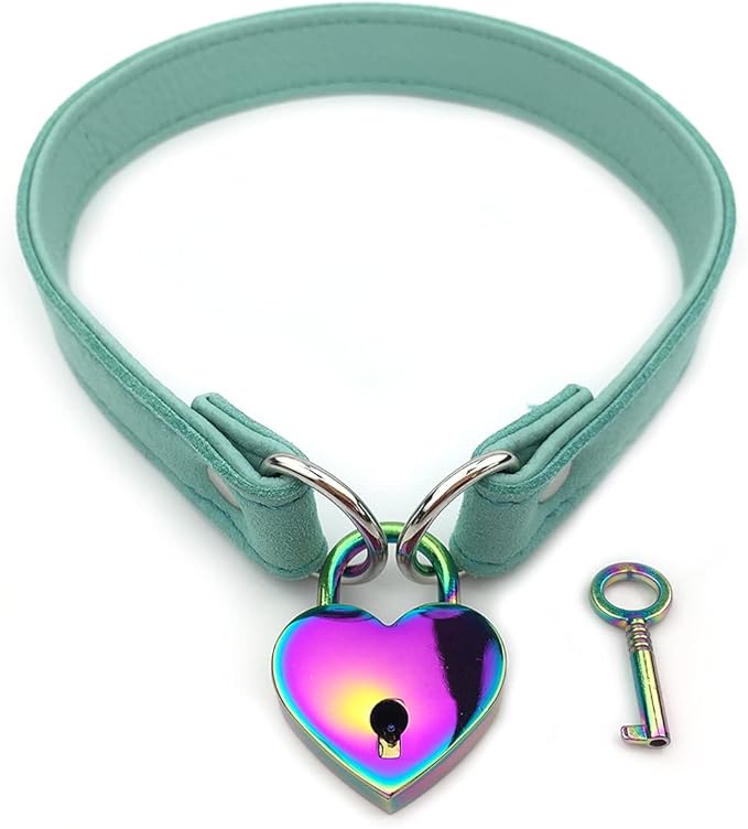 Succuba Padlock Choker Collar Necklace with Lock and Key Heart Lock Choker for Women and Men (F, 14)