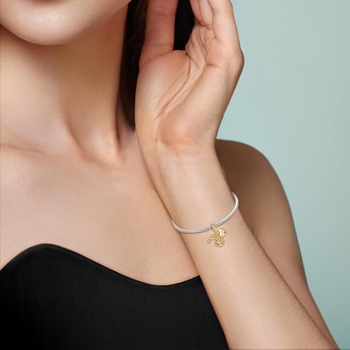 925 sterling silver bracelet necklace pendant, women's jewelry, a charming pendant suitable for matching the original bracelet, perfect for parties, birthdays, and as a jewelry gift