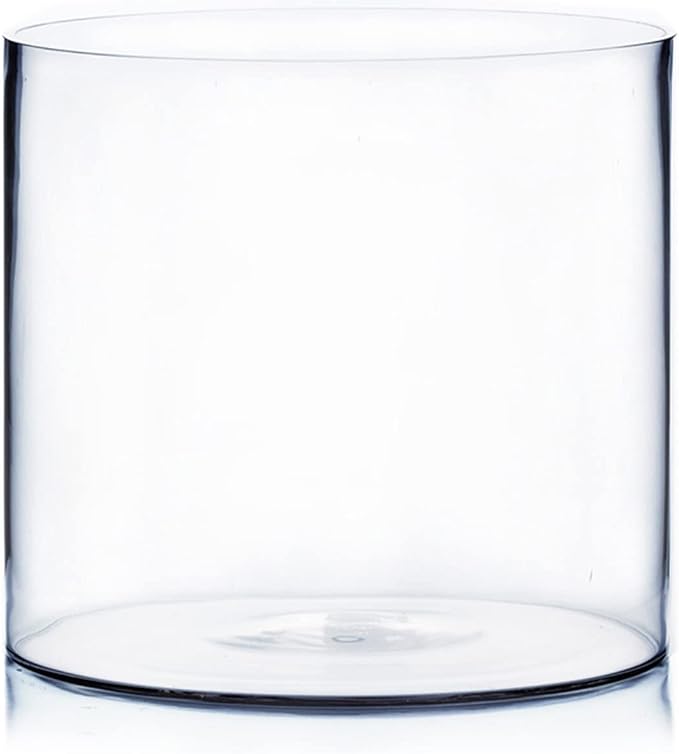 WGV Cylinder Vase, Width 10", Height 10", Floral Container, Planter Terrarium by WGVInternational-OpusGlassware