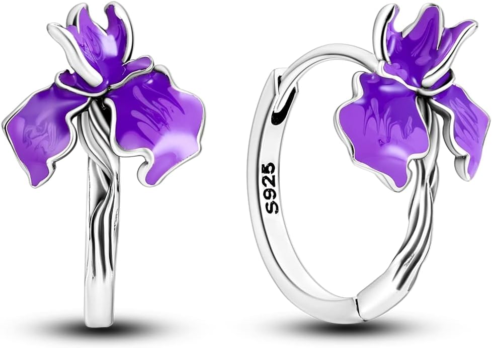 NARMO Earrings for Women 925 Sterling Silver Heart Hoops Small Colorful Rainbow Hoop Earrings Huggie Earrings