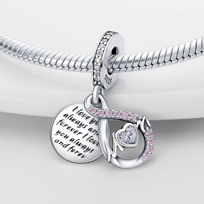 LIGHTDOG 925 Sterling Silver Charm fits Pandora Charm Bracelet Necklaces Pendant Bead Charms Jewelry Gift for Women Family Friends