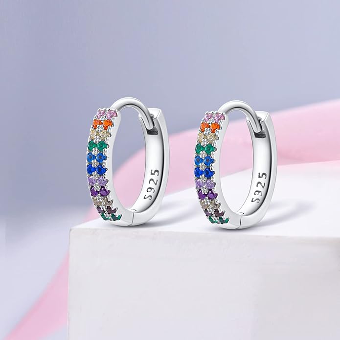 NARMO Earrings for Women 925 Sterling Silver Heart Hoops Small Colorful Rainbow Hoop Earrings Huggie Earrings