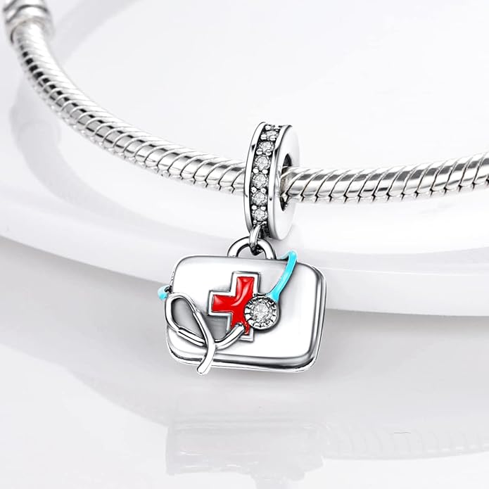 MULA 925 Sterling Silver Charms for Bracelets and Necklaces Airplane Passport Dangle Pendants Beads Butterfly Dragonfly Charms Jewelry Charm for Women