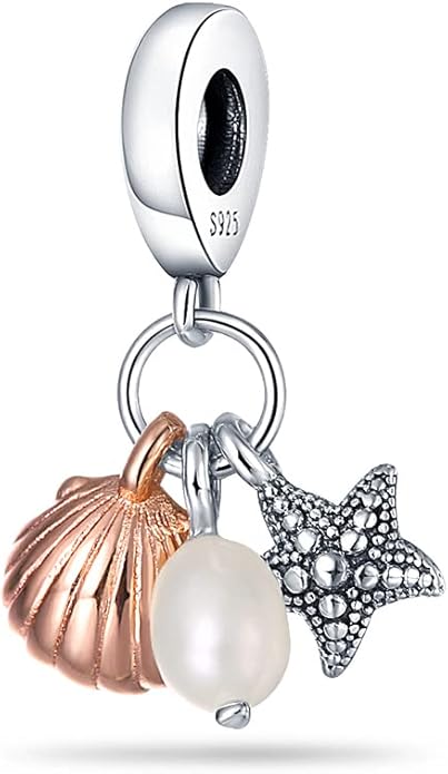 LIGHTDOG 925 Sterling Silver Charm fits Pandora Charm Bracelet Necklaces Pendant Bead Charms Jewelry Gift for Women Family Friends