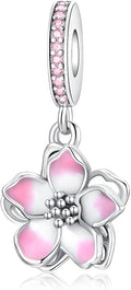 Birthday Fashion Love Heart Dangle Charm 925 Sterling Silver Charms fits Bracelets and Necklace Pendant Bead Charms Jewelry Present for Women Family Friends