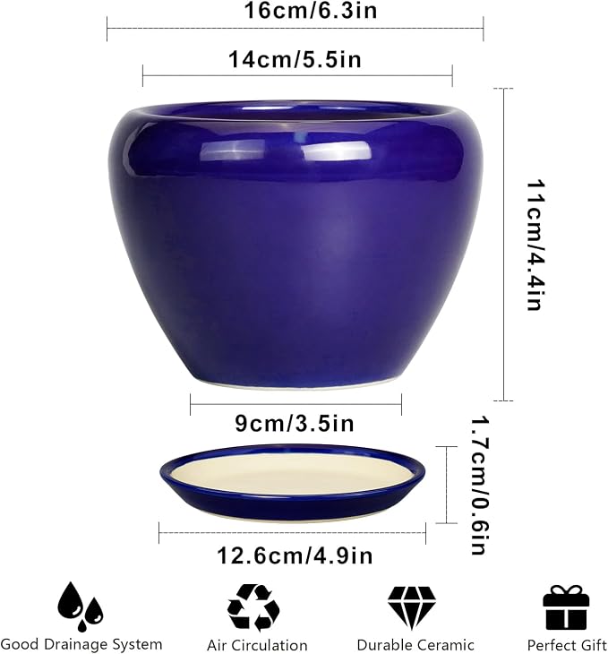 Ceramicfor 6 Inch Plant Pot - Image 3