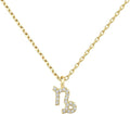 PAVOI 14K Gold Plated Cubic Zirconia Astrology Necklaces for Women - Zodiac Pendant Jewelry Gifts - Zodiac Sign Pendant Necklaces