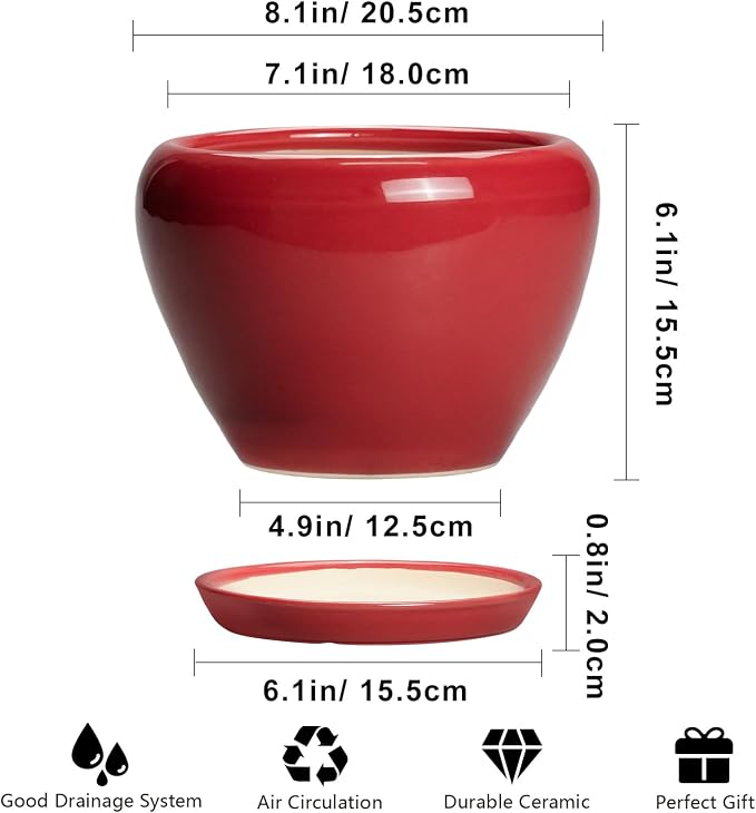Ceramicfor Ceramic Planter for Indoor Plants 8 Inch - Image 3