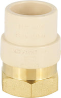 EFIELD 3/4"CPVC X 3/4"Female Thread NPT Transition Coupling, Brass Adapter Pipe by EFIELDPEXTUBING