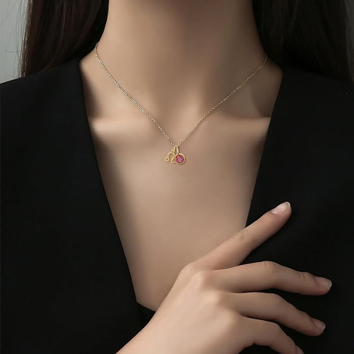MISS RIGHT Initial Birthstone Necklace for Women - Personalized Gifts Birthday Gifts for Women Stainless Steel 18K Gold Plated Dainty Gold Zodiac Sign 12 Constellation Horoscope Necklace Jewelry