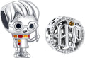 925 Sterling Silver Charms Magic Movie Character Dangle Beads for Bracelets and Necklaces Jewelry for Women