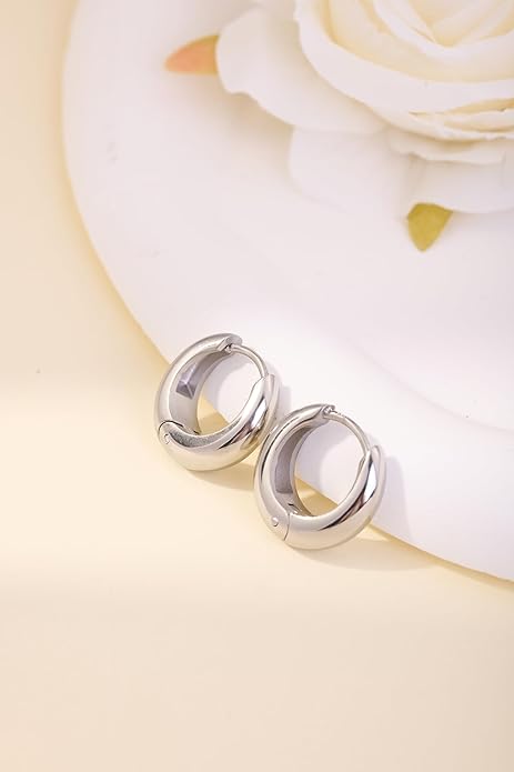 Chunky Small Hoop Earrings for Women 14mm/16mm/19mm Stainless Steel Huggie Earrings Everyday Jewelry Gift for Wife Mom, with Gift Box