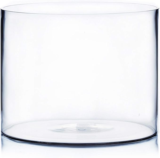 WGV Cylinder Vase, Width 10", Height 8", Floral Container, Planter Terrarium by WGVInternational-OpusGlassware