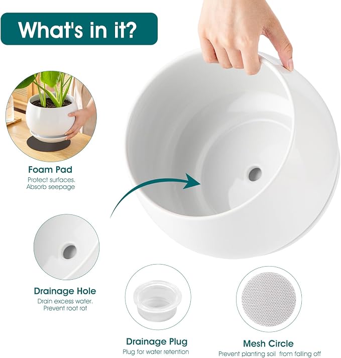vancasso 3-Pack Ceramic Plant Pots, 7.3/9.6/11.6 Inch Indoor Planters - Image 3