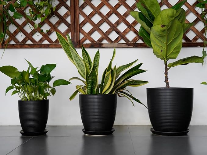 Ceramic Plant Pot - Image 7