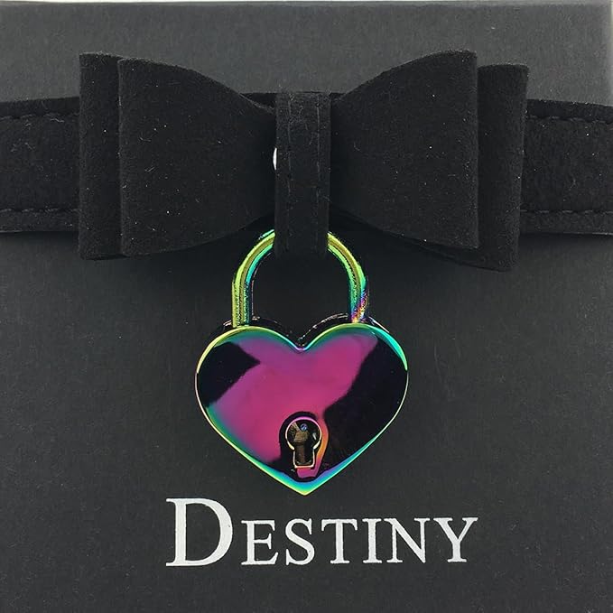 Destiny Love Bell Padlock Choker Collar Necklace Lolita Bow Collar Cat Kitty Velvet Necklace with Heart Lock and Key with Box for Women and Men
