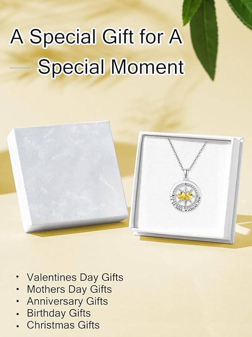 Compass Necklace for Women, Exquisite S925 Valentines Day Anniversary Birthday Gifts for Wife Her Double Birthstone Pendant Jewelry ‘I'd be Lost Without You’