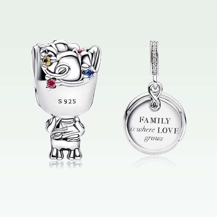 Cute Fashion Heart Charms,S925 Sterling Silver Charm,Bead for Bracelets and Necklaces,For Women Jewelry Present