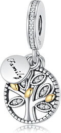 Birthday Fashion Love Heart Dangle Charm 925 Sterling Silver Charms fits Bracelets and Necklace Pendant Bead Charms Jewelry Present for Women Family Friends