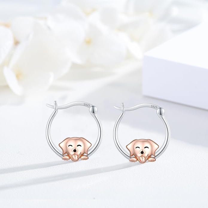 JUSTKIDSTOY Hypoallergenic Panda/Unicorn/Hummingbird/Dolphin Hoop Earrings for Women 925 Sterling Silver Animal Huggie Hoop Earrings Jewelry Gifts for Sensitive Ears