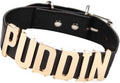 Black Pu Leather Choker Necklace for Cosplay Custume Accessiores Puddin Choker Necklace Collar