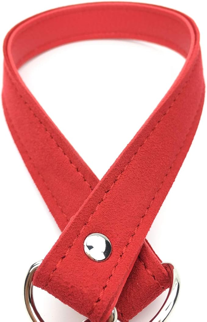 Padlock Choker Collar Necklace with Lock and Key Heart Lock Choker for Women and Men (E, 16)