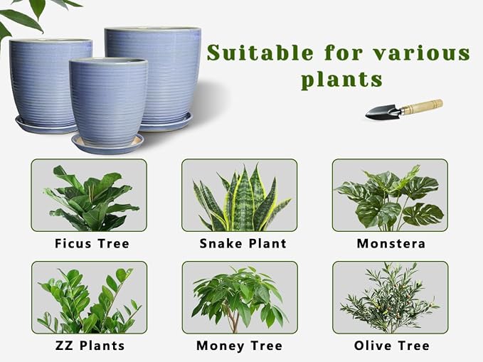 Ceramic Planter - Image 8